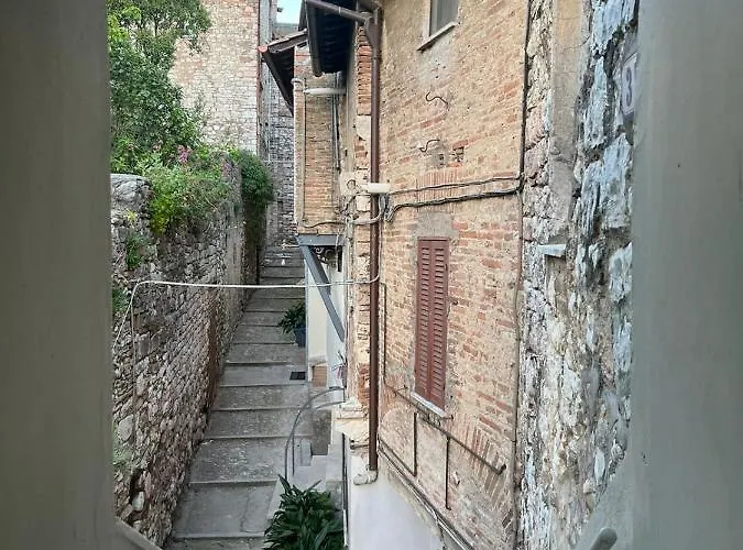 Sognonarni نارني